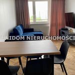 Rent 4 bedroom apartment of 80 m² in Katowice