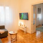 Rent 3 bedroom apartment of 131 m² in Madrid
