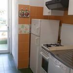 Rent 3 bedroom apartment of 50 m² in Grosseto