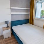 Rent 2 bedroom apartment of 29 m² in Katowice