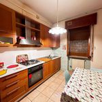 Rent 3 bedroom apartment of 90 m² in Piacenza