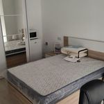Rent 7 bedroom apartment in Castellón de la Plana