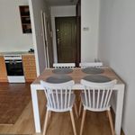 Rent 1 bedroom apartment of 30 m² in Ostrów Wielkopolski
