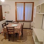 Rent 2 bedroom apartment of 44 m² in Reggio Emilia
