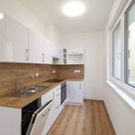 Rent 1 bedroom apartment of 76 m² in Plzeň