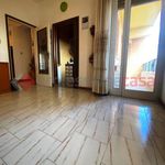 Rent 5 bedroom apartment of 95 m² in Livorno