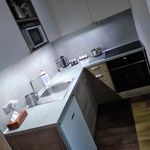 Rent 2 bedroom apartment of 42 m² in Liberec