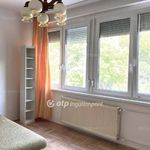 Rent 5 bedroom house of 190 m² in Budapest