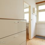 Rent 2 bedroom apartment of 33 m² in Prague