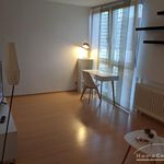 Rent 1 bedroom apartment of 31 m² in Saarbrücken