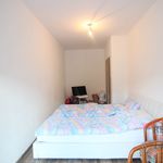 Rent 1 bedroom apartment of 76 m² in Vamberk