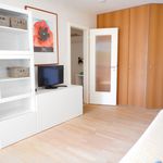 Rent 1 bedroom apartment of 30 m² in Munich