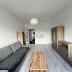 Wynajmij 2 sypialnię apartament z 53 m² w Dzierżoniów