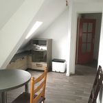 Rent 2 bedroom apartment of 34 m² in Sarreguemines