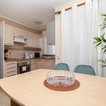 Rent 1 bedroom apartment in Albufeira