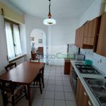 Rent 3 bedroom house of 100 m² in Chieti