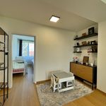 Rent 3 bedroom apartment of 63 m² in Přerov