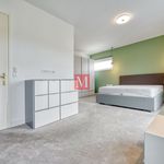 Rent 4 bedroom apartment of 189 m² in Vrhovec