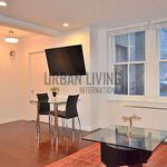 Rent 1 bedroom apartment of 57 m² in New York