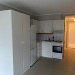 Rent 1 bedroom apartment of 26 m² in Trondheim
