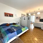 Rent 2 bedroom apartment of 45 m² in Lugano