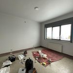 Rent 3 bedroom apartment of 176 m² in Kluisbergen