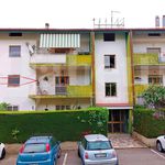 Affitto 5 camera appartamento di 130 m² in Castrolibero