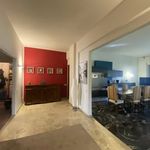 Rent 4 bedroom apartment of 110 m² in Firenze