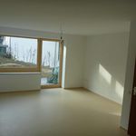 Rent a room of 50 m² in Freiburg im Breisgau