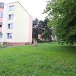 Rent 1 bedroom apartment in Troubsko