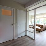 Rent 2 bedroom apartment of 62 m² in Groningen