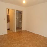 Appartement de 20 m² avec 1 chambre(s) en location à Sarrebourg