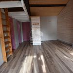 Rent 1 bedroom apartment of 35 m² in Roanne
