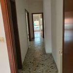 Rent 4 bedroom apartment of 138 m² in Avellino