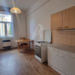 Rent 2 bedroom apartment of 45 m² in České Budějovice