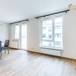 Rent 4 bedroom apartment of 117 m² in Kraków
