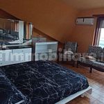 Affitto 3 camera appartamento di 100 m² in Frosinone