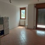 Rent 2 bedroom apartment of 52 m² in Padua