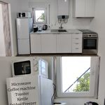 Rent 1 bedroom house of 55 m² in Aroeira