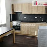 Rent 1 bedroom apartment of 29 m² in Dolni Benesov