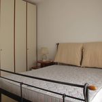 Affitto 2 camera appartamento di 50 m² in Empoli