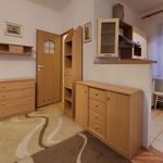 Rent 1 bedroom apartment of 29 m² in Obozowa