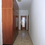Affitto 4 camera appartamento di 91 m² in Gavi