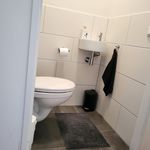 Rent 3 bedroom apartment of 77 m² in Vianen
