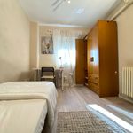 Rent 1 bedroom apartment of 8 m² in Madrid