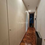 Affitto 5 camera casa di 400 m² in Cerreto Guidi