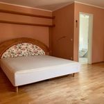 Rent 3 bedroom apartment of 101 m² in München
