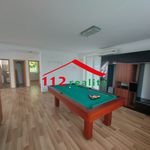 Rent 1 bedroom apartment of 436 m² in Jáchymov