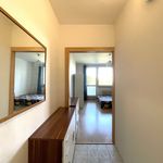 Rent 1 bedroom apartment of 30 m² in Brno