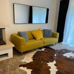 Rent 10 bedroom apartment of 220 m² in München